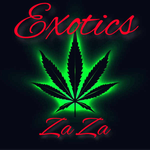 Exotics