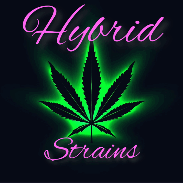 Hybrid