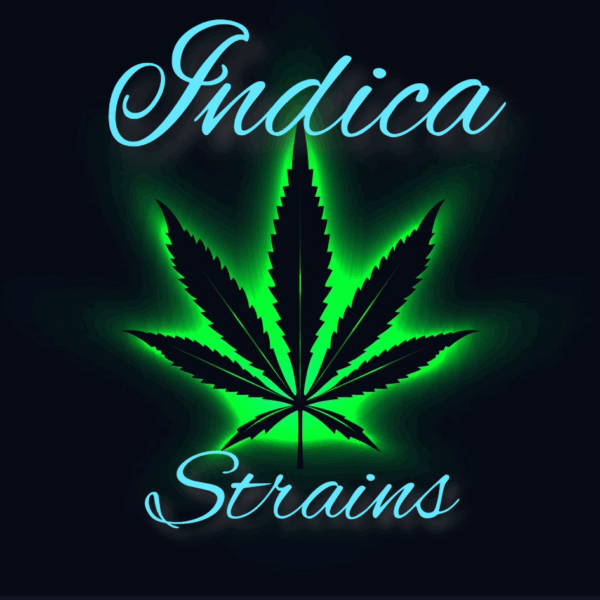 Indica