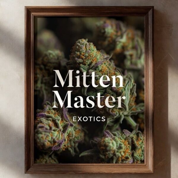 Mitten Master Exotics